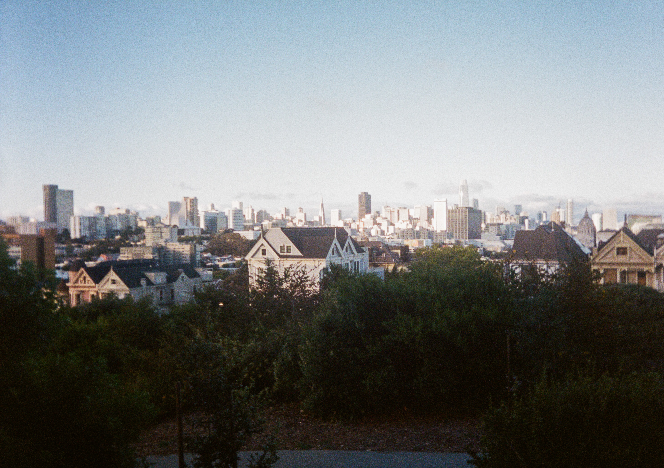 Wedding photographer San Francisco — Painted Ladies, Alamo Square